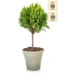 H49cm River Mist Round Tuscan Planter - By Primrose™ -Outdoor PLANTERS Shop PP7796 main image e106