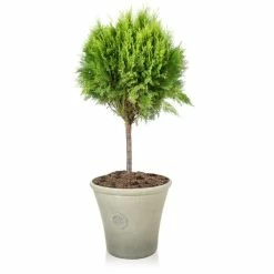 H44.5cm River Mist Round Tuscan Planter - By Primrose™ 6 H44.5cm River Mist Round Tuscan Planter - By Primrose™ -Outdoor PLANTERS Shop PP7797 add image 2 3c06