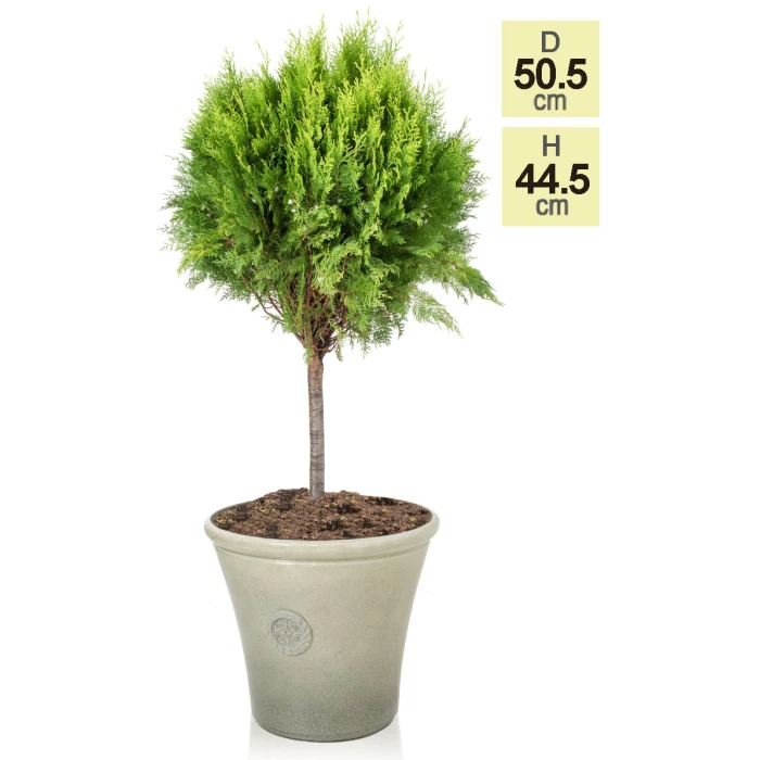 H44.5cm River Mist Round Tuscan Planter - By Primrose™ 4 H44.5cm River Mist Round Tuscan Planter - By Primrose™ - Image 4