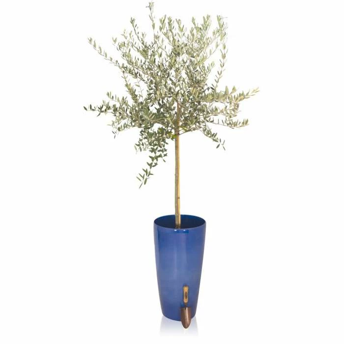 H75cm Pacific Blue Cylinder Planter - By Primrose™ 3 H75cm Pacific Blue Cylinder Planter - By Primrose™ - Image 3