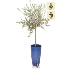 H75cm Pacific Blue Cylinder Planter - By Primrose™ 7 H75cm Pacific Blue Cylinder Planter - By Primrose™ -Outdoor PLANTERS Shop PP7800 main image e14c