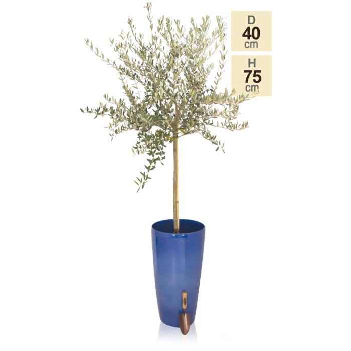 H75cm Pacific Blue Cylinder Planter - By Primrose™ 4 H75cm Pacific Blue Cylinder Planter - By Primrose™ - Image 4