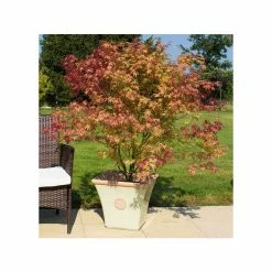 44cm Tuscan Flared Square Planter in Light Pistachio with Terracotta