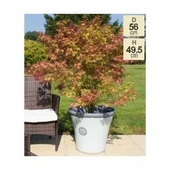 56cm Tuscan Round Planter in White with Grey 21 56cm Tuscan Round Planter in White with Grey -Outdoor PLANTERS Shop PP7854 add image 9 74f2