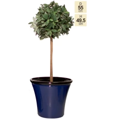 55cm Royal Blue Cone Planter - By Primrose™ -Outdoor PLANTERS Shop PP7855 main image 80c0