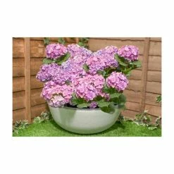 55cm Stone Effect Bowl Planter In White - By Primrose™ -Outdoor PLANTERS Shop PP7877 add image 2 3328