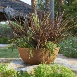 55cm Aged Rust Effect Bowl Planter - By Primrose™ -Outdoor PLANTERS Shop PP7879 add image 4 8806