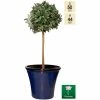50cm Royal Blue Glaze Effect Planter - By Primrose™