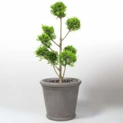 50cm Classic Rim Concrete Round Planter - Medium 8 50cm Classic Rim Concrete Round Planter - Medium -Outdoor PLANTERS Shop PP7953 add image 2 123f