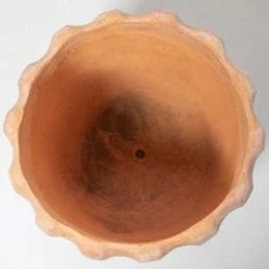 50cm Terracotta Scalloped Finish Tall Planter - Medium -Outdoor PLANTERS Shop PP7996 add image 3 a99a