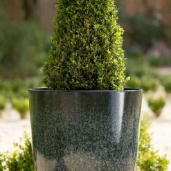 53cm Tall Round Planter in Dark Green -Outdoor PLANTERS Shop PP80BLKL 1 0170