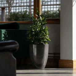 43cm Tall Round Planter in Grey