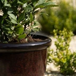 54cm Round Planter in Burgundy 10 54cm Round Planter in Burgundy -Outdoor PLANTERS Shop PP85BLKM PP85BLKS 2 a014