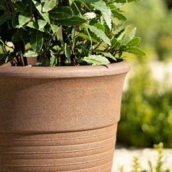 57cm Tall Round Planter in Rust -Outdoor PLANTERS Shop PP88RSTL PP88RSTM 2 27a9