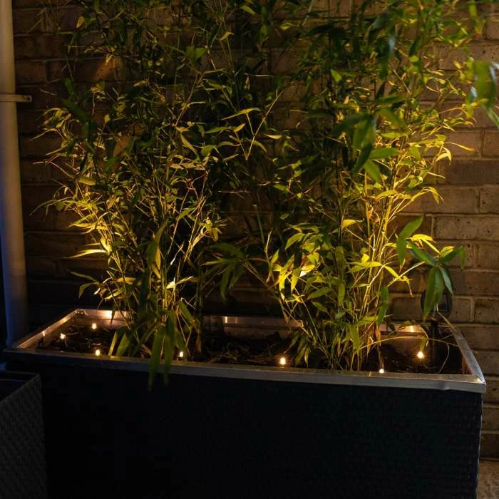 Set of Seven Solar Powered LED Planter Stake Lights 2 Set of Seven Solar Powered LED Planter Stake Lights - Image 2