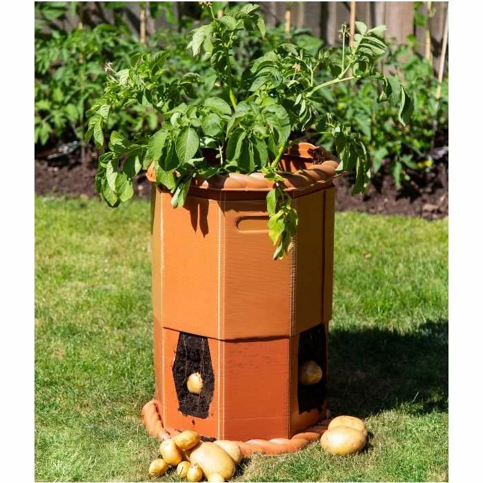 Victorian Potato Barrel - H60cm x D43cm 1 Victorian Potato Barrel - H60cm x D43cm